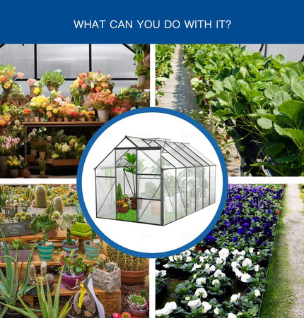 [06X12FT] Heavy-Duty Black Polycarbonate Greenhouse With Raised Base And Anchor (SAK92451) - Greenhouses | Patioza