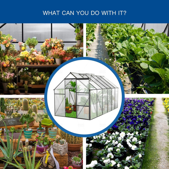 [06X12FT] Heavy-Duty Black Polycarbonate Greenhouse With Raised Base And Anchor (SAK92451) - Greenhouses | Patioza