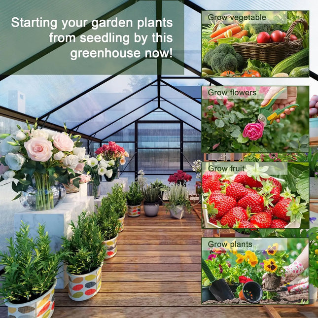 8x10 FT Aluminum Frame Polycarbonate Greenhouse | Walk-In - | Patioza