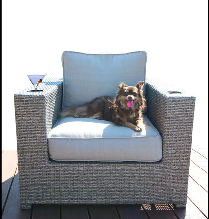 Outdoor Elegance Conversation Set With Fire Pit